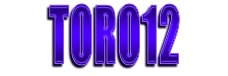 TORO12 Logo